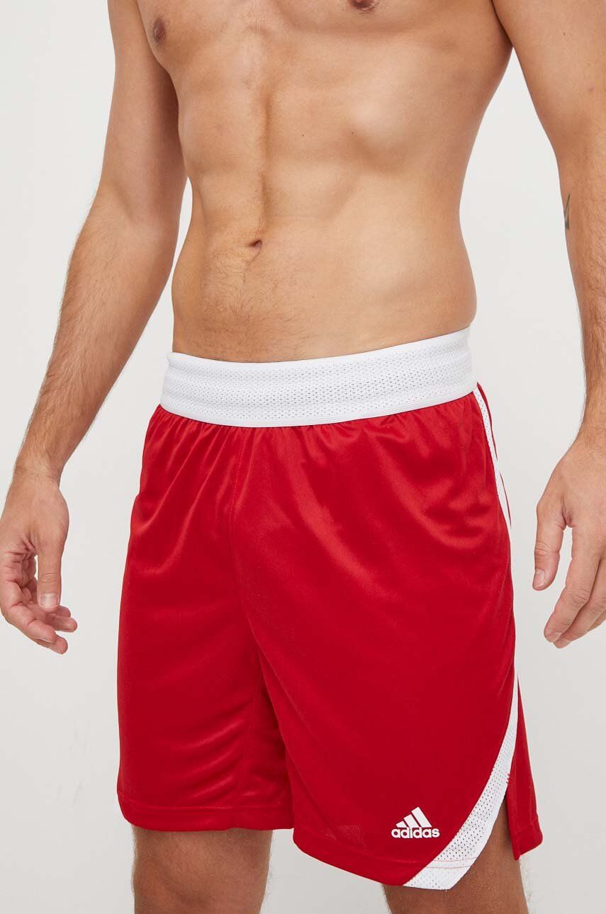 Σορτς προπόνησης adidas Performance Icon Squad Shadow Original Icon Squad χρώμα: κόκκινο S70812.3 HF6729