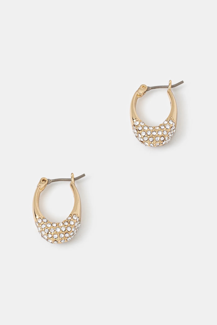 Σκουλαρίκια Dkny 04G00838