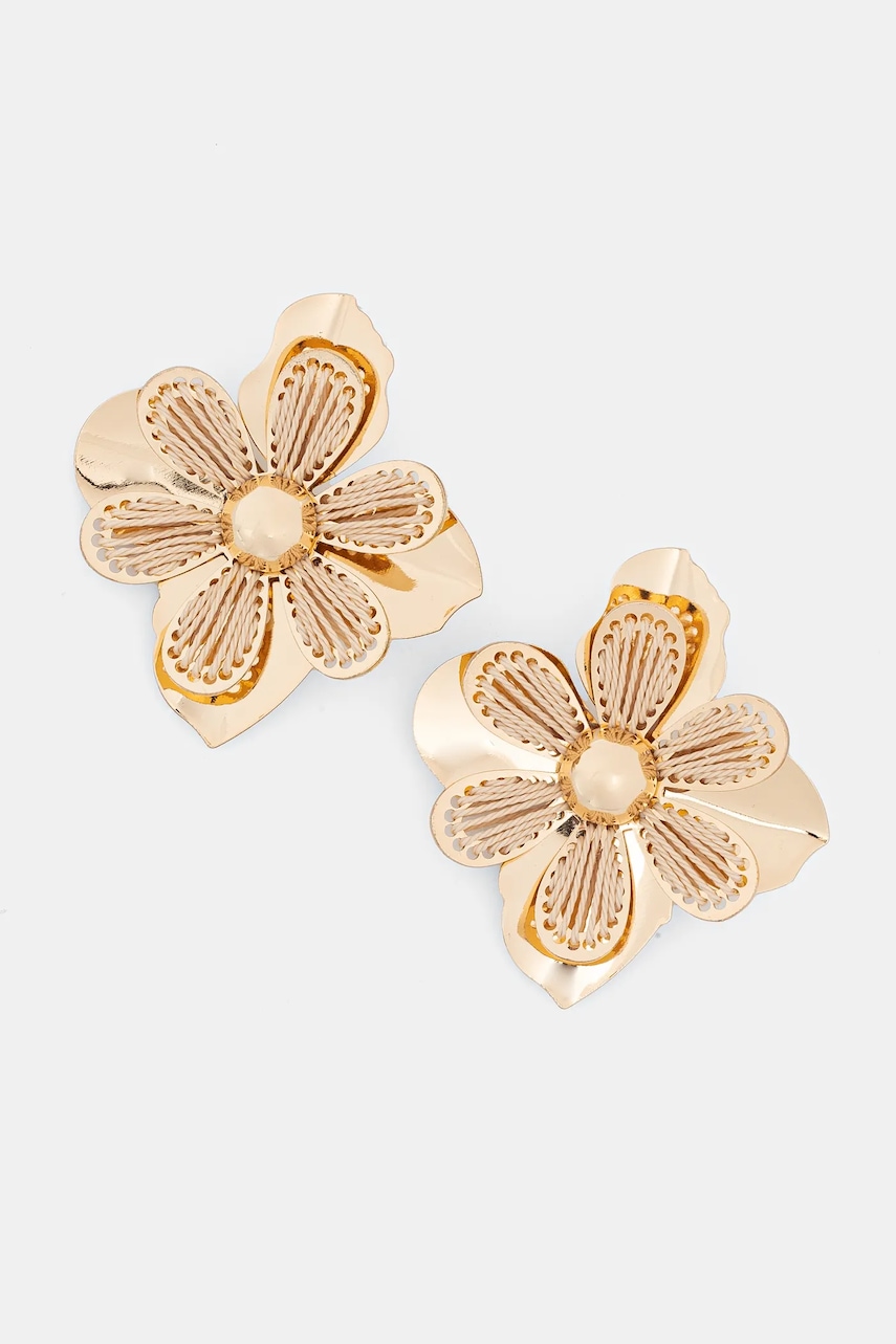 Σκουλαρίκια Aldo AURRORA 13930771