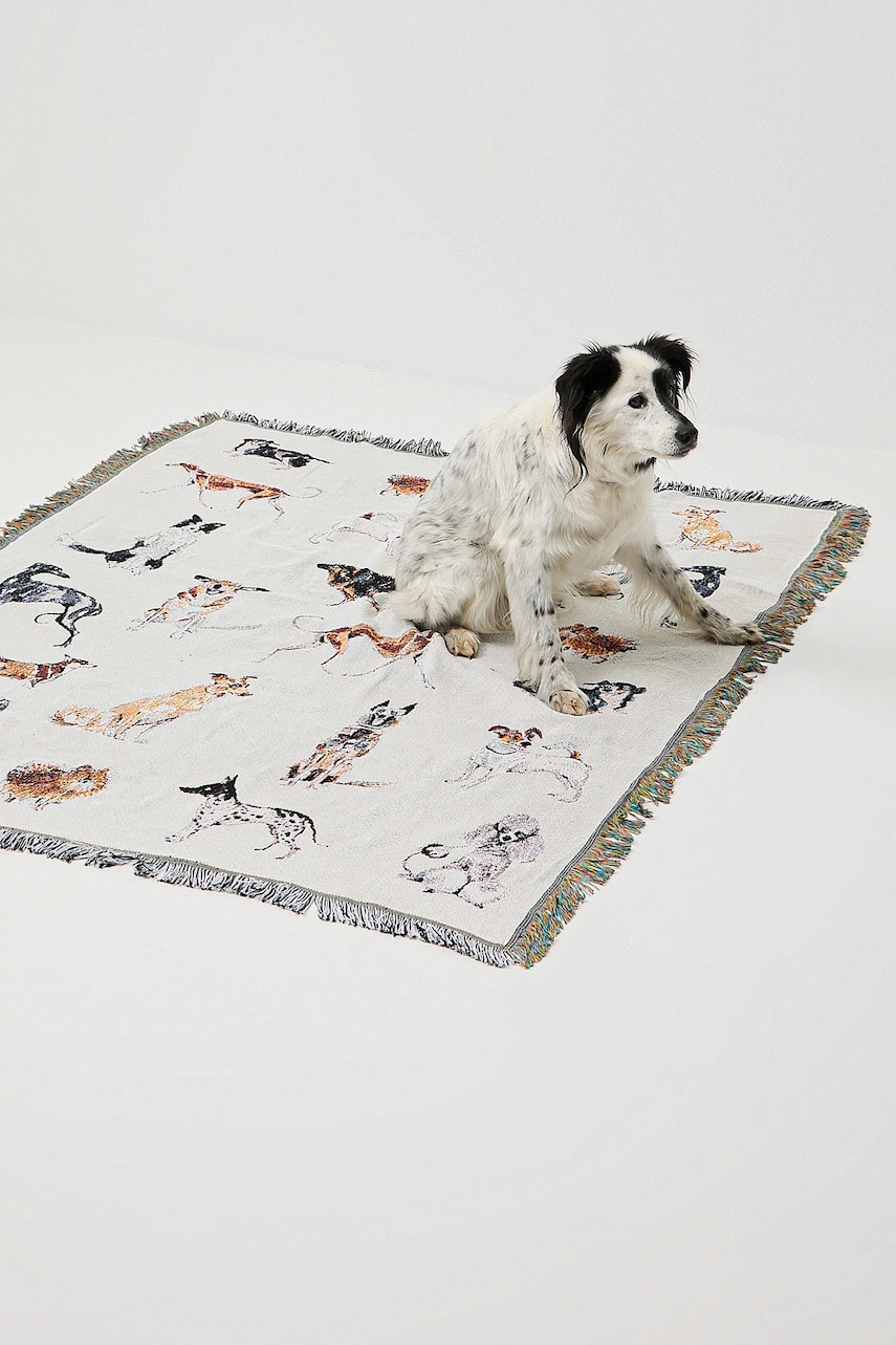 Κουβέρτα ζακάρ Medicine χρώμα: μπεζ