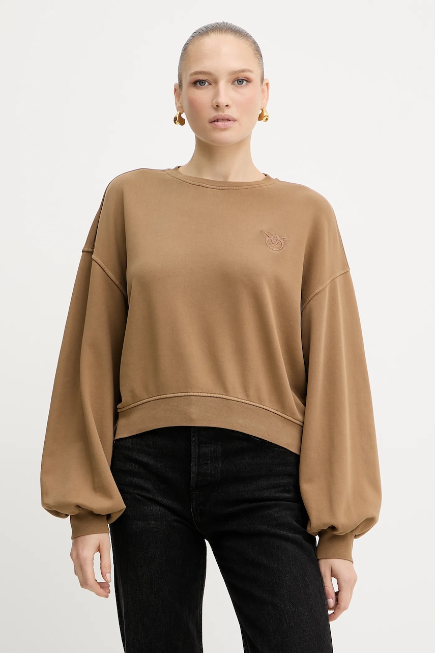 Βαμβακερή μπλούζα Pinko γυναικεία, χρώμα: καφέ, 105510 A2RB