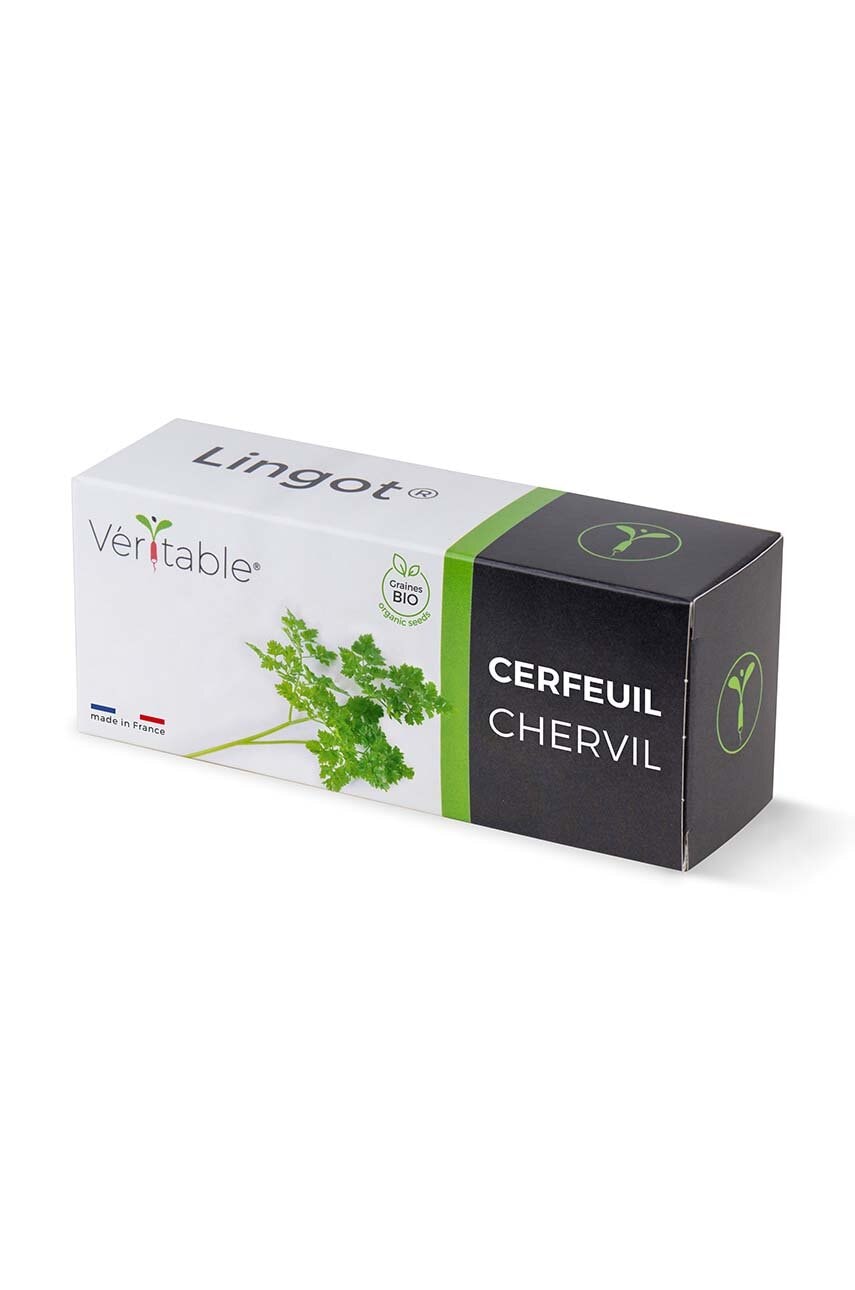Ένθετο σπόρων Veritable Chervil