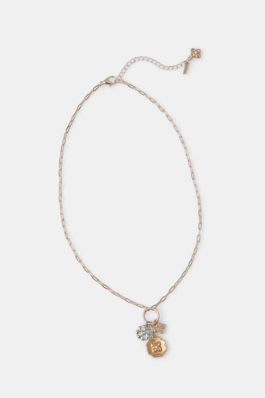 Κολιέ Aldo EVGENY 13995083